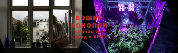 apvp Каменногорск