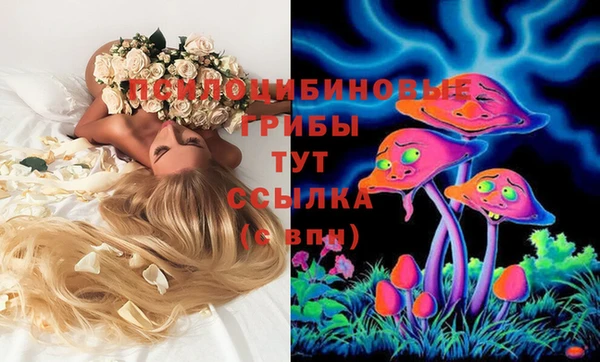 мяу мяу мука Каменск-Шахтинский