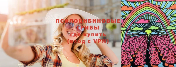apvp Каменногорск