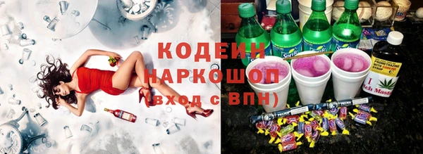 apvp Каменногорск