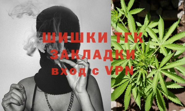 apvp Каменногорск